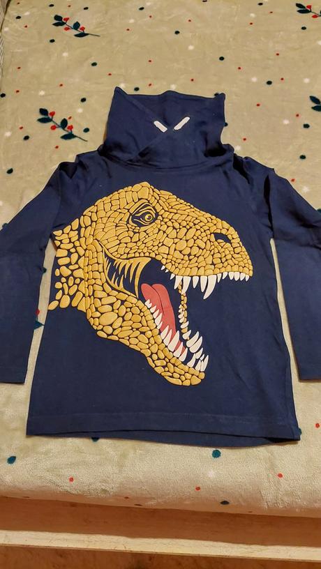 Tricko s dlhym rukavom s motivom dinosaura., dopodopo,110
