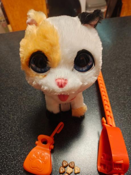 Mačiatko na vodítku, 