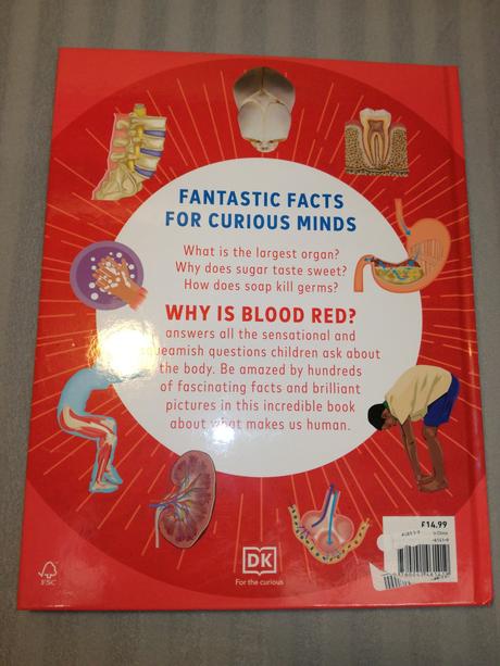 Why si blood red   sp22, 