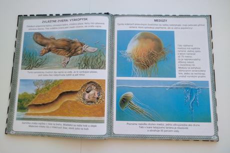 Obrázky rekordov zvierat, 