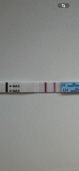 Pozitívny ovulačný test: Kedy nastane ovulácia?