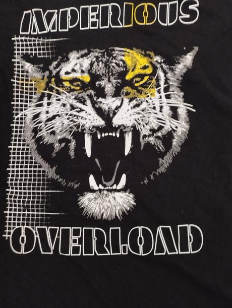 Tričko s tigrom-146/152, chapter young,146