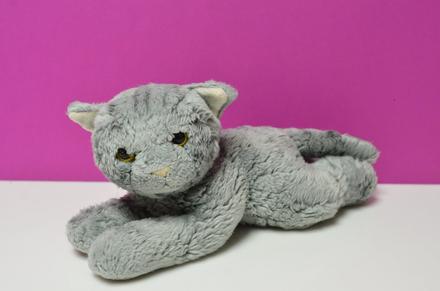 Mačka mačiatko k nákupu, 