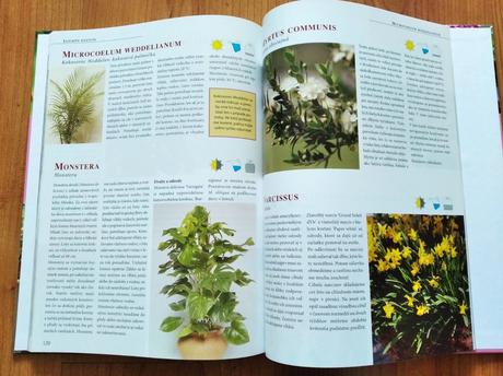 Kniha o rastlinách, 
