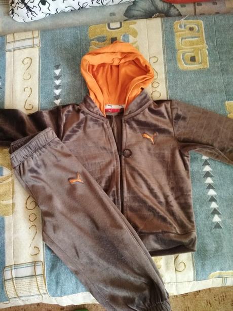 Supravka vel.80, puma,80
