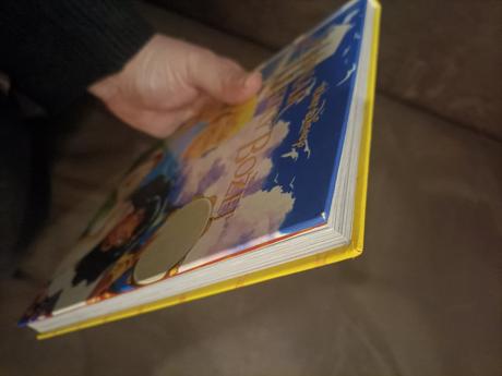 Chrám matky božej v paríži disney, 