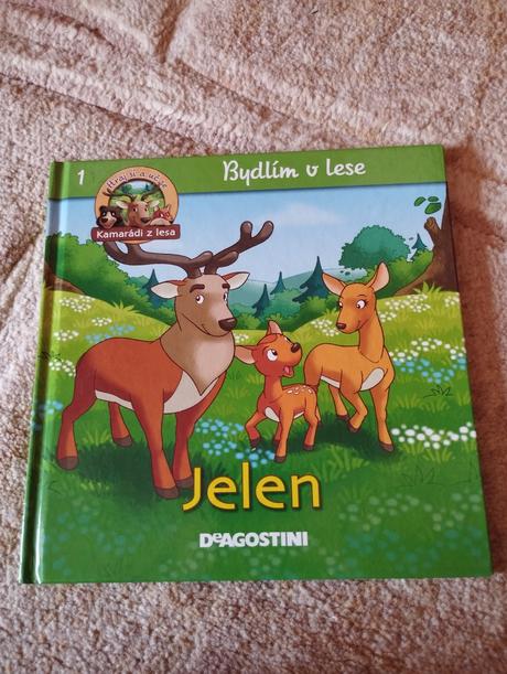 Bydlim v lese,
