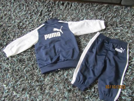 Suprava puma, puma,68