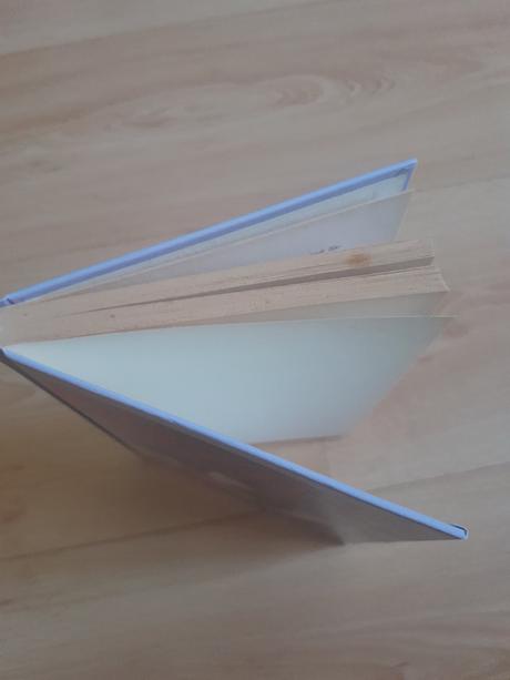 Meg cabotová - princezná pozýva,