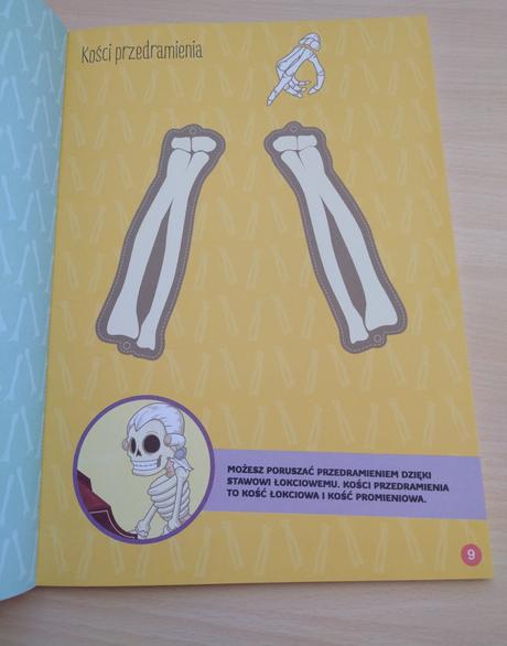 Pracovný zošit ľudské telo, 