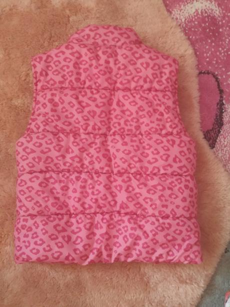 Vesta 104, palomino,104