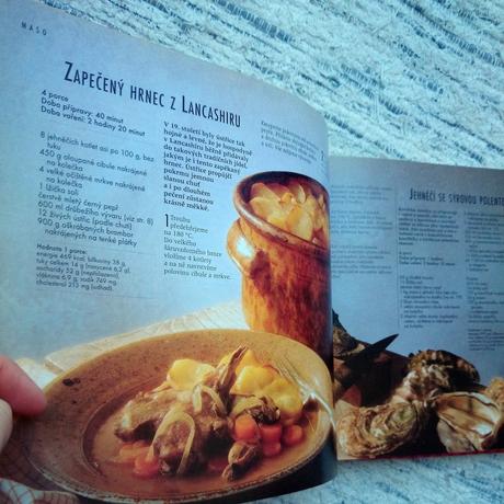 Recepty pro jeden hrnec,
