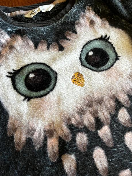 Teplá chlpatá mikina so sovičkou 122/128, h&m,122