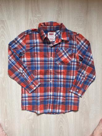 Kosela levis, levis,128