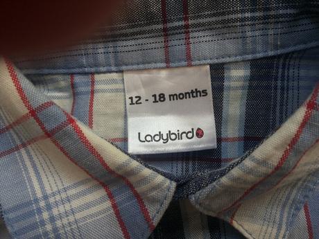 Belasa karovana kosielka, ladybird,86