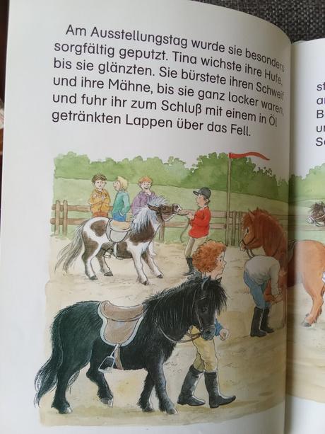 Leselöwen - ponygeschichten,