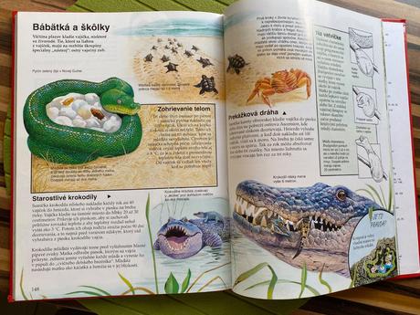 Kniha zázraky v prírode plus darček, 