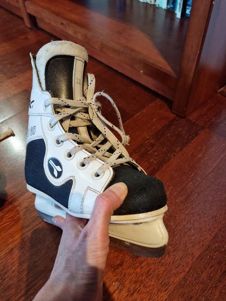 Korčule na ľad, 31