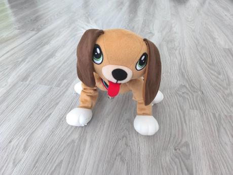 Psík floppy,