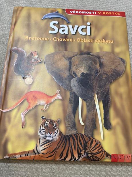 Savci vědomosti v kostce anatomie chování oblasti, 