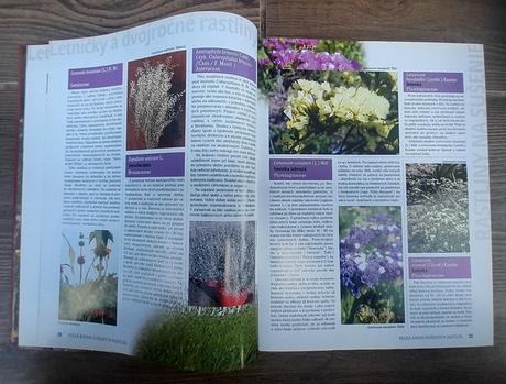 Veľká kniha sušených rastlín, 