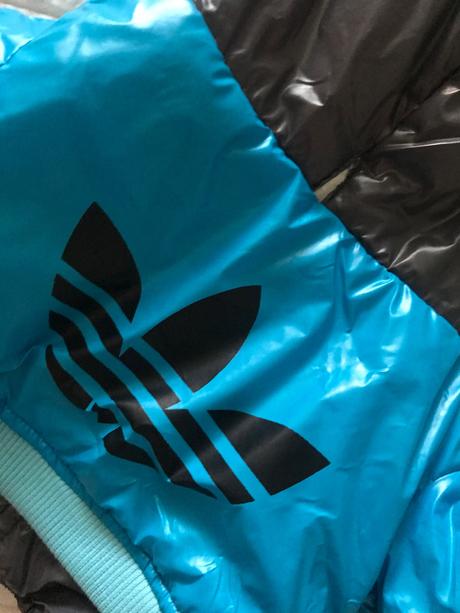 Oblecenie pre psika, 