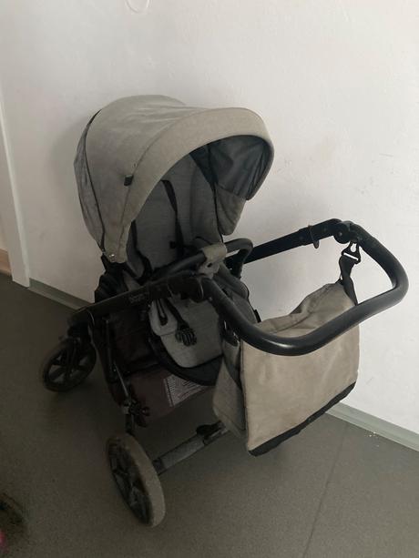 Kočík roan bloom, roan,roan bloom