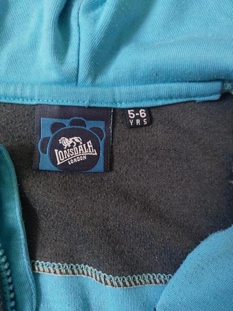 Teplakova vesta, 104