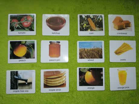 12 ks montessori kartičiek- od rastliny k produktu,