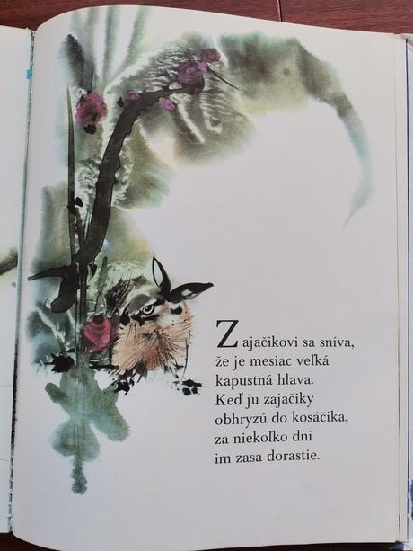 Čo si rozprávajú zvieratká v noci, 