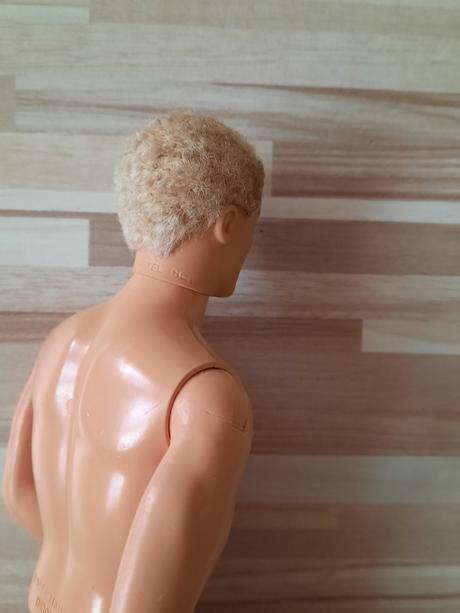 Barbie ken 6,