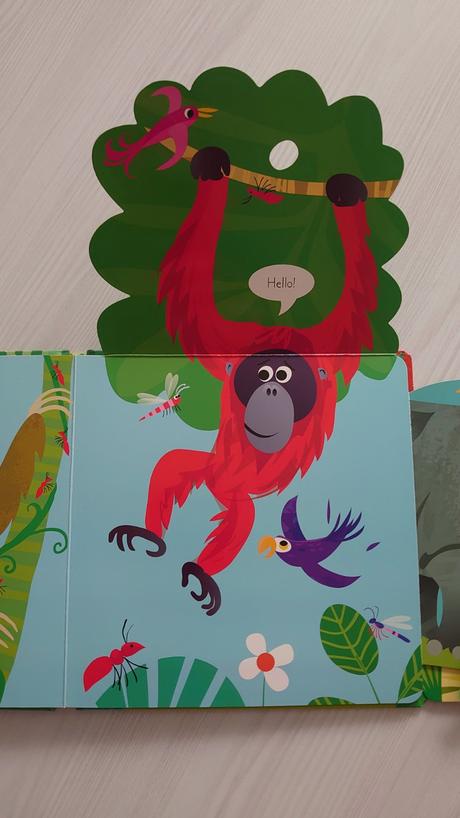 Usborne detské leporelo,
