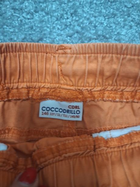 Kratasy, coccodrillo,146