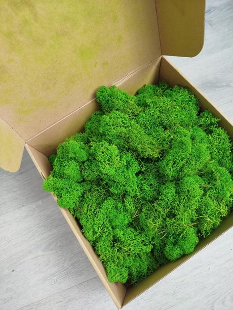 Stabilizovaný mach / lišajník 500g, 