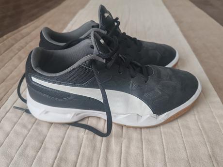 Halovky puma, puma,35