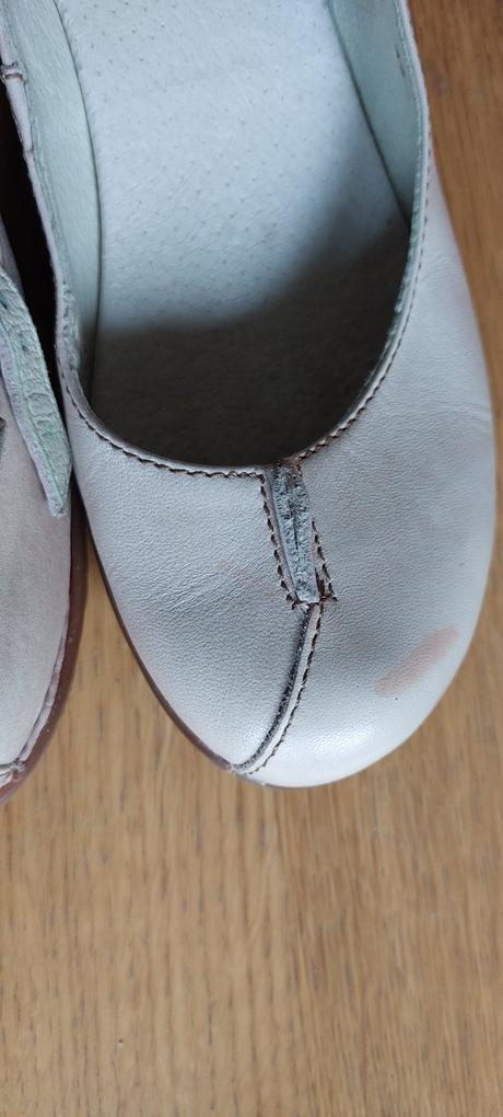 El naturalista č.41, 41