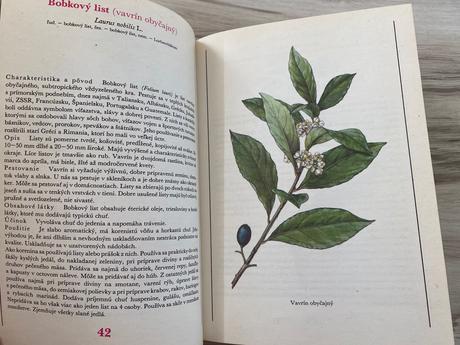 Liečivé rastliny byliny koreniny šedo krejča,