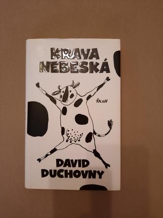 Kniha od davida duchovneho,