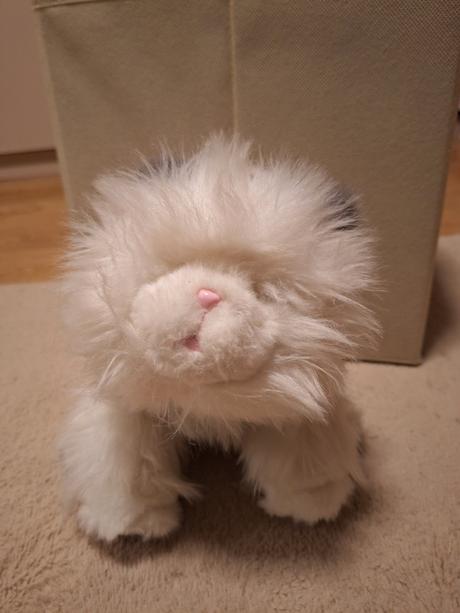 Pradúca,mňaukajúca,papajúca mačka, 