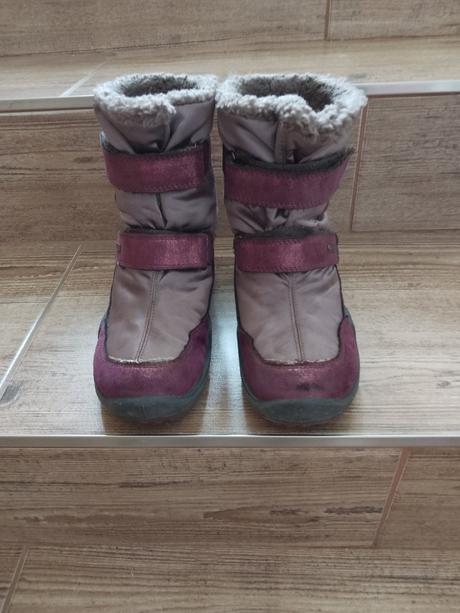 Snehule primigi, primigi,34