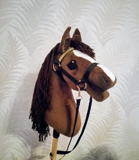Hobby horse, 