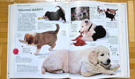 Kniha 'spoznaj svojho psa', bruce fogle, 