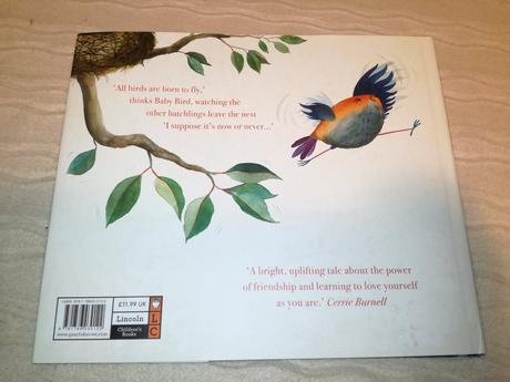 Andrew gibbs baby bird nau20, 