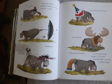 Macko puf- pokladnica zo stoakroveho lesa, 