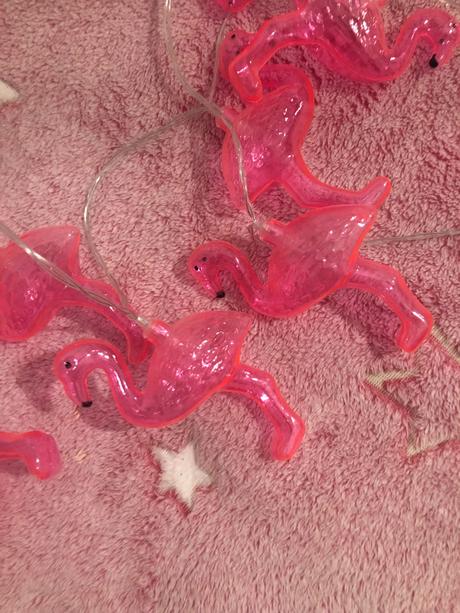 Svietiace plameniaky, 