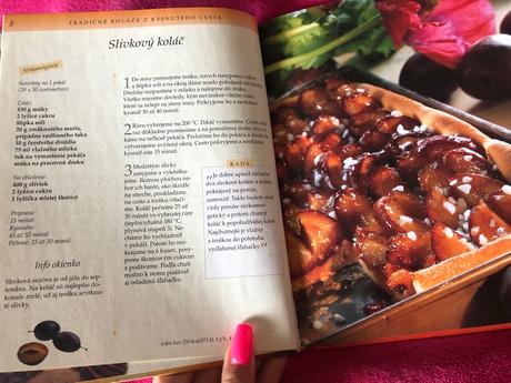 Malé torty a koláče - recepty, 