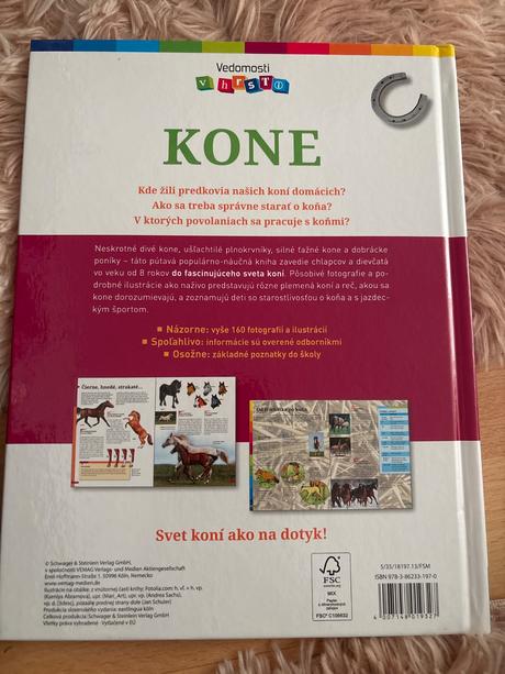 Kone, 