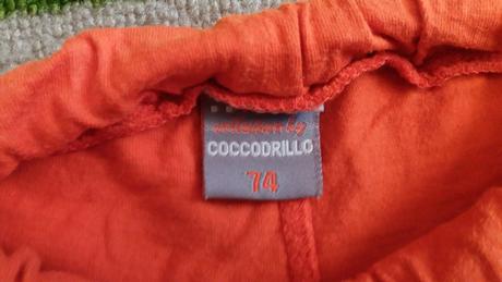 Krátke nohavice, coccodrillo,74