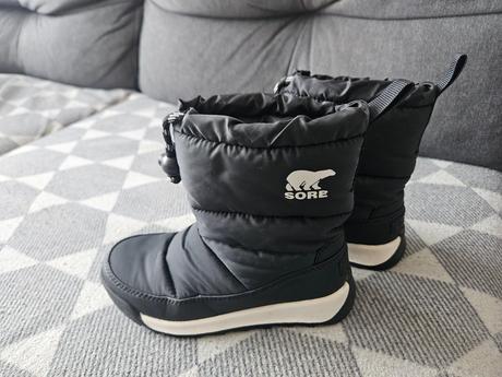 Snehule sorel, sorel,28