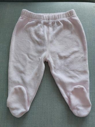 Svetloruzove polodupacky, 68